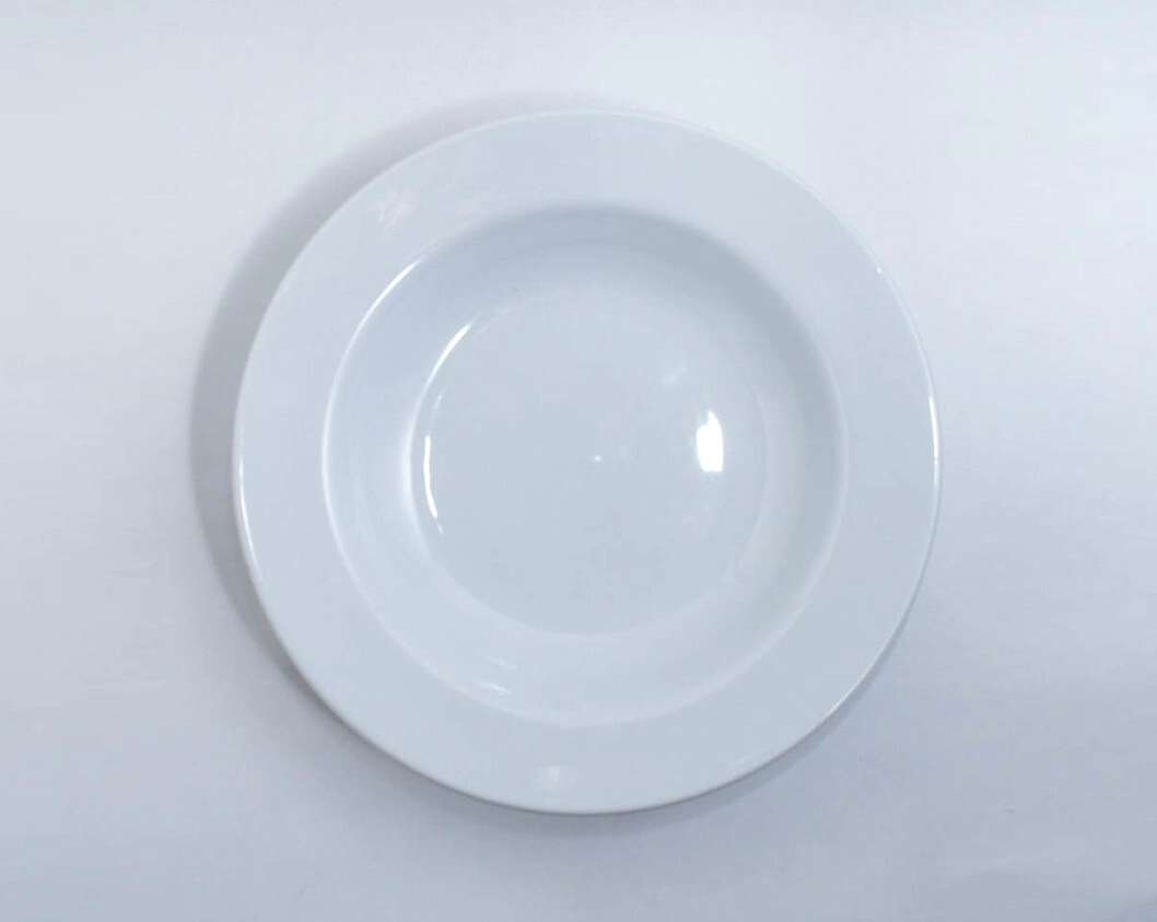 PLATO PASTERO 29 CM LINEA RECTA SALDO VERBANO