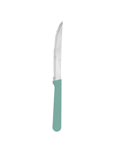 CUCHILLO DE CARNE MANGO PLASTICO AQUA CAROL