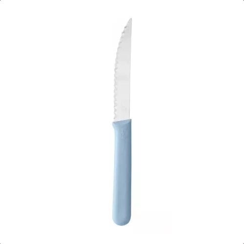 CUCHILLO DE CARNE MANGO PLASTICO CELESTE CAROL