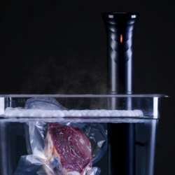 CIRCULADOR TERMICO SOUS VIDE 900 W CARBONO NEOVAC