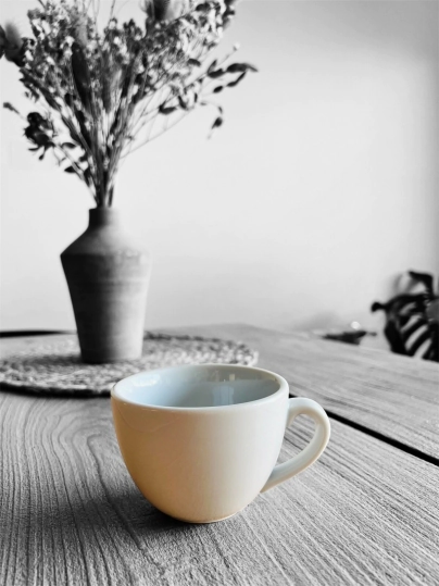 TAZA TE CURVO LINEA 1900 TSUJI