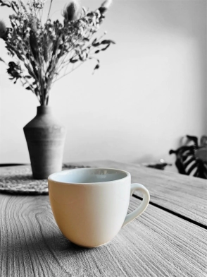 TAZA DESAYUNO CURVO LINEA 1900 TSUJI