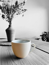 TAZA DESAYUNO CURVO LINEA 1900 TSUJI