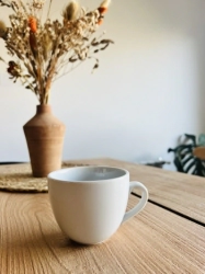 TAZA DESAYUNO CURVO LINEA 1900 TSUJI