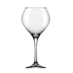 COPA DE DEGUSTACION PRESTIGE 600 ML NADIR