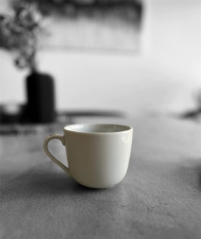 TAZA DESAYUNO LINEA 2100 TSUJI