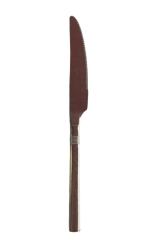 CUCHILLO DE CARNE ECO ACERO INOXIDABLE