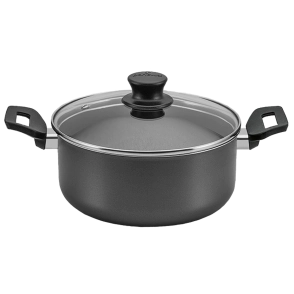 CACEROLA N&ordm; 20 CON ASA ANTIADHERENTE PANELUX