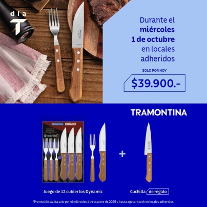JUEGO DE CUBIERTOS DYNAMIC JUMBO 12 PIEZAS + CUCHILLO CARBON DE REGALO TRAMONTINA