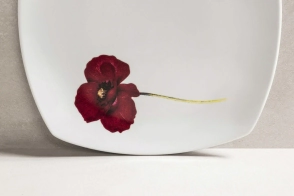 PLATO POSTRE STUDIO LINE AMAPOLA LINEA 2418 TSUJI