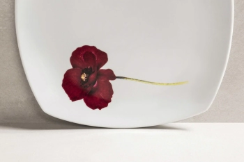 PLATO POSTRE STUDIO LINE AMAPOLA LINEA 2418 TSUJI