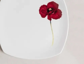 PLATO CAFE STUDIO LINE AMAPOLA LINEA 2418 TSUJI