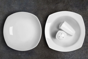 PLATO HONDO SIN ALA LINEA 2400 TSUJI