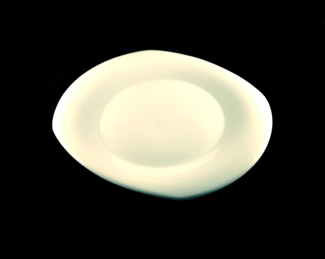 Platos Principales RECTANGULO THESIS