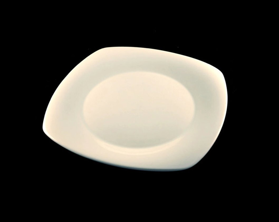 Platos Principales CUADRADOS THESIS