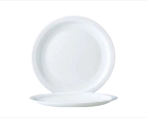 PLATO PLAYO 25,8 CM HOTELIERE