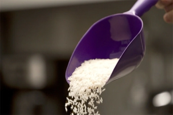 PALA PARA ALIMENTOS NUVA