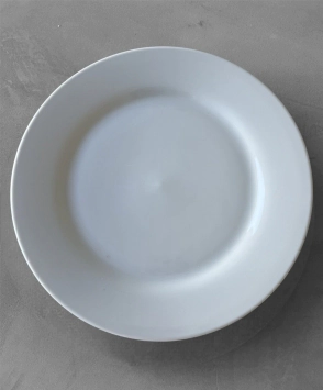 PLATO PLAYO 27 CM ALA ANCHA LINEA 1100 TSUJI