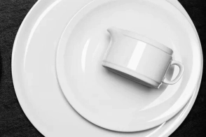 PLATO PLAYO 25 CM ALA ANGOSTA LINEA 450 TSUJI